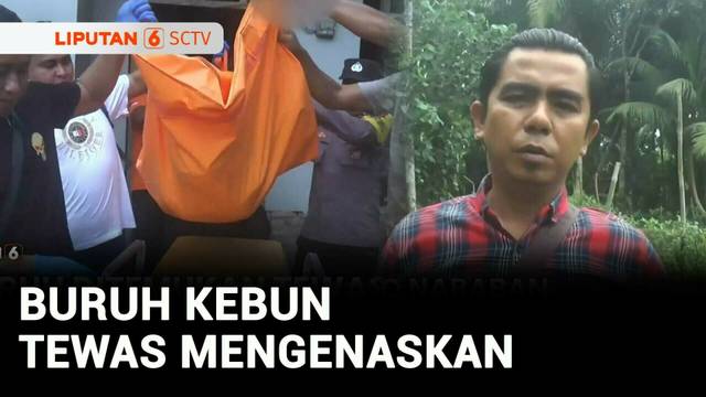 Diduga Dirampok, Buruh Sawit Ditemukan Tewas dengan Tangan & Kaki Terikat | Liputan 6