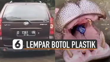 Viral Pengunjung Lempar Botol Plastik Ke Dalam Mulut Kudanil