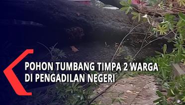 Pohon Tumbang Timpa 2 Warga Di Pengadilan Negeri Makassar