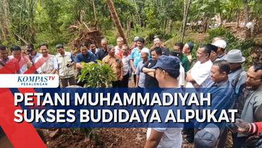 Pelatihan Budidaya Buah Alpukat, Program Pemberdayaan Muhammadiyah