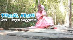 Tinggal Angon ~ Septi Anggraini (Official Music Lyric) Gitar Suling Lampung