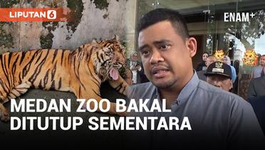 Bakal Direnovasi, Bobby Nasution Umumkan Medan Zoo Akan Ditutup Sementara