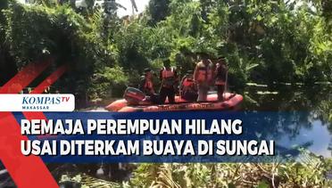 Remaja Perempuan Hilang Usai Diterkam Buaya Di Sungai