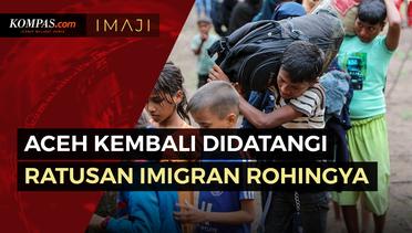 Lagi, 184 Pengungsi Rohingya Terdampar di Aceh Besar