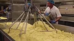 Proses Pembuatan Keju di Pabrik