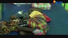 64 Anak Asmat Papua Meninggal karena Gizi Buruk - Liputan6 Siang