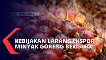 Jokowi Larang Ekspor Minyak Goreng, Kebijakan Ini Akan Buat Harga Minyak Goreng Turun?
