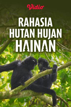 Rahasia Hutan Hujan Hainan