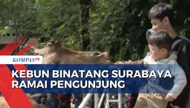 Jadi Pilihan Keluarga di Libur Panjang, Kebun Binatang Surabaya Padat Pengunjung