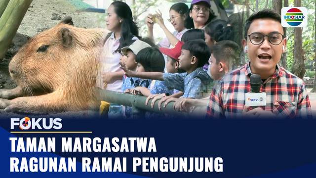 Taman Margasatwa Ragunan Ramai Pengunjung | Fokus