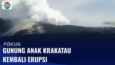 Gunung Anak Krakatau Kembali Erupsi Sebanyak 8 Kali | Fokus