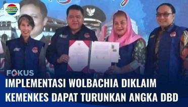 Kemenkes Klaim Nyamuk Wolbachia Bisa Turunkan Angka Kasus DBD di Indonesia | Fokus