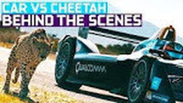 Cheetah vs Mobil Formula E- Drag Race (Alam liar vs Dokumenter Mobil)