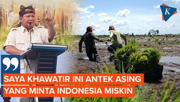 Prabowo Sebut Orang yang Tolak Food Estate Antek-antek Asing