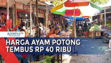 Harga Ayam Potong di Semarang Tembus Rp40 Ribu per Kg