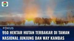 Kebakaran Hebat di Desa Junjung, Tulungagung, dan Taman Nasional Way Kambas | Fokus