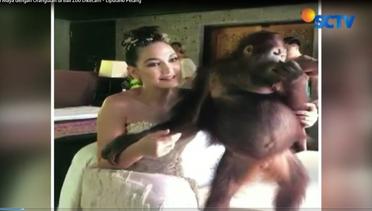 Foto Luna Maya dengan Orangutan di Bali Zoo Dikecam - Liputan6 Petang
