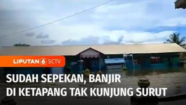 Sepekan Berlalu, Banjir di Kabupaten Ketapang Kalimantan Barat Belum Juga Surut | Liputan 6