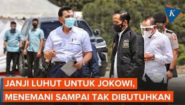 Luhut: Saya Tak Akan Mundur dari Pak Jokowi, sampai Dia Tak Butuh Saya Lagi