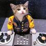 CAT MUSIC 