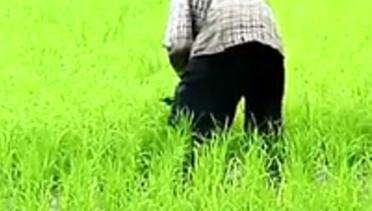 Setelah Jack Ma Sempat Hilang, Kini Dikabarkan Bertani di Kampung Halaman