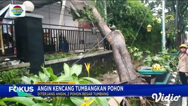 Gedung Dealer Tertimpa Pohon Tumbang