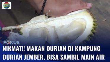 Serunya Bermain Air Sambil Nikmati Durian di Kampung Durian Jember | Fokus