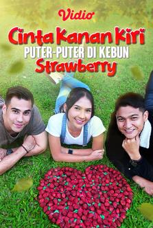 Cinta Kanan Kiri Puter Puter Di Kebun Strawberry