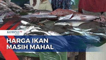 Harga Ikan Mahal Akibat Pasar Belum Normal Seperti Hari Biasanya