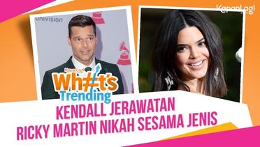 Jerawat Kendall Jenner - Ricky Martin Menikah