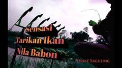 Strike nila babon saguling