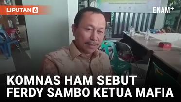 Soal Ferdy Sambo, Komnas HAM: Sebagai Bos Mafia...