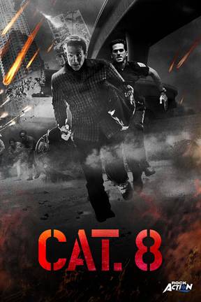 CAT. 8