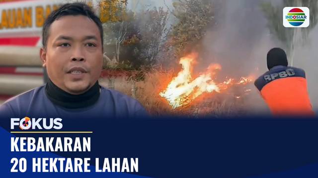 Kebakaran 20 Hektare Lahan | Fokus
