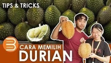 Cara Memilih Durian yang Enak dan Matang | Review Durian Lokal dan Impor
