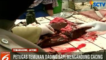 Awas, Daging Sapi Bercacing Beredar di Pasar Temanggung - Liputan6 Petang Terkini
