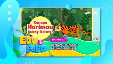 Edu & Papo RTV: Kenapa Harimau Belang-Belang? (Eps 9, Part 1)