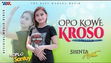 SHINTA ARSINTA - KOPLO SANTUY | OPO KOWE KROSO [Official Music Video] The Best Wahana Musik