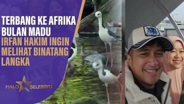 Terbang ke Afrika Bulan Madu, Irfan Hakim Ingin Melihat Binatang Langka | Halo Selebriti