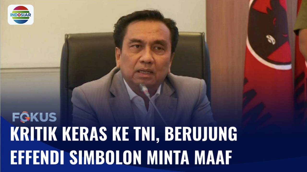 Sebut TNI Sebagai Gerombolan Melebihi Ormas, Effendi Simbolon: Saya ...