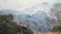 Kebakaran Hebat Hutan Gunung Ciremai, 500 Hektare Terbakar