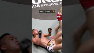 Is this the CRAZIEST groin shot in MMA history?