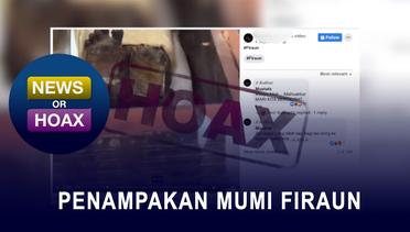 Hoax Penampakan Mumi Firaun - NEWS OR HOAX