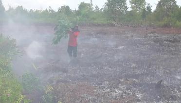 Lebih dari 200 Ha hutan dan lahan terbakar di Kalteng