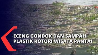 Warga Keluhkan Sampah Mengotori Pantai, Diduga Kiriman Luapan Danau Limboto