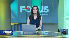 Fokus 15/02/25