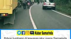 Kabar Samarinda - Video Pohon Tumbang Di Bukit Soeharto