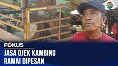 Modifikasi Motor Jadi Ojek Kambing, Bawa Berkah Jelang Idul Adha di Kudus | Fokus