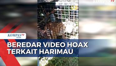 Hoax Video Warga Aceh Besar Tangkap Harimau