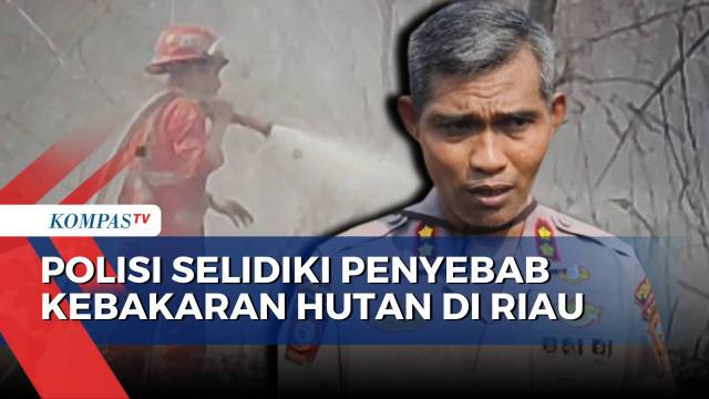 Polisi Selidiki Penyebab Kebakaran Hutan di Riau Capai 312 Hektare
